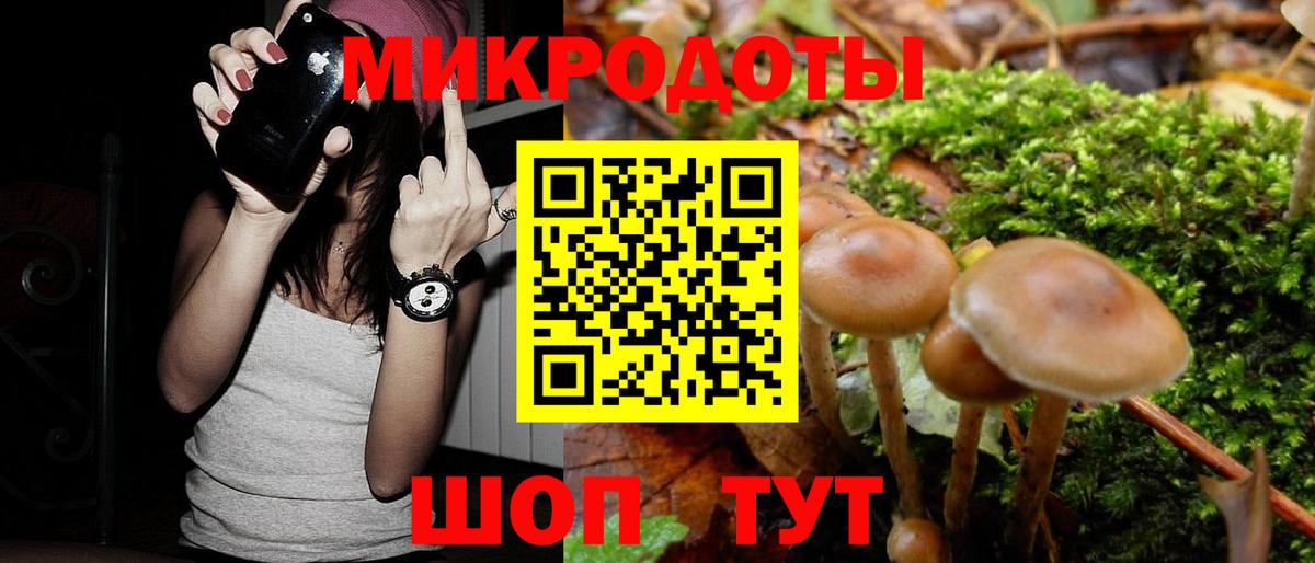 Бутурлиновка  Галлюциногенные грибы Psilocybe  Вход с VPN 