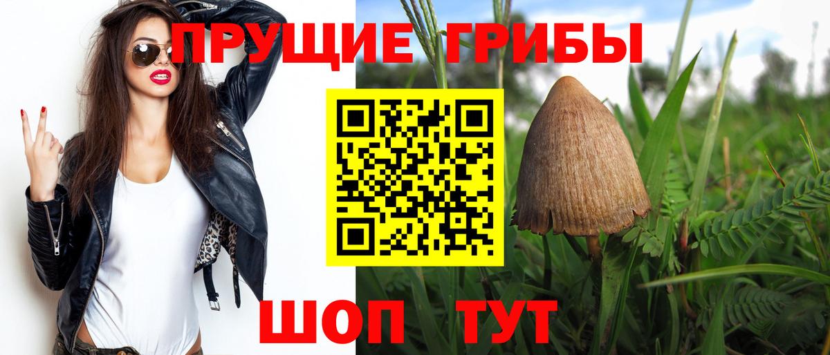 Галлюциногенные грибы Psilocybine cubensis Бутурлиновка